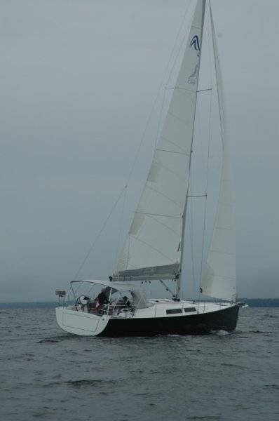 Hanse 445 - 3