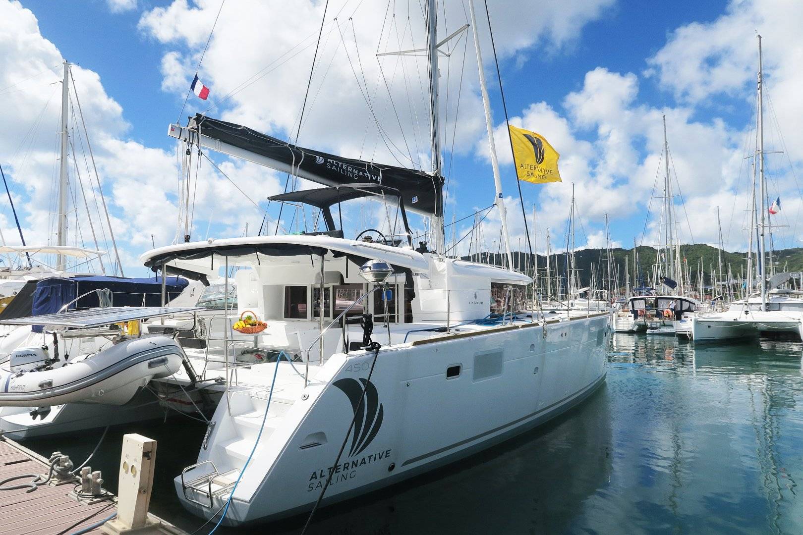 Lagoon 450 - 4