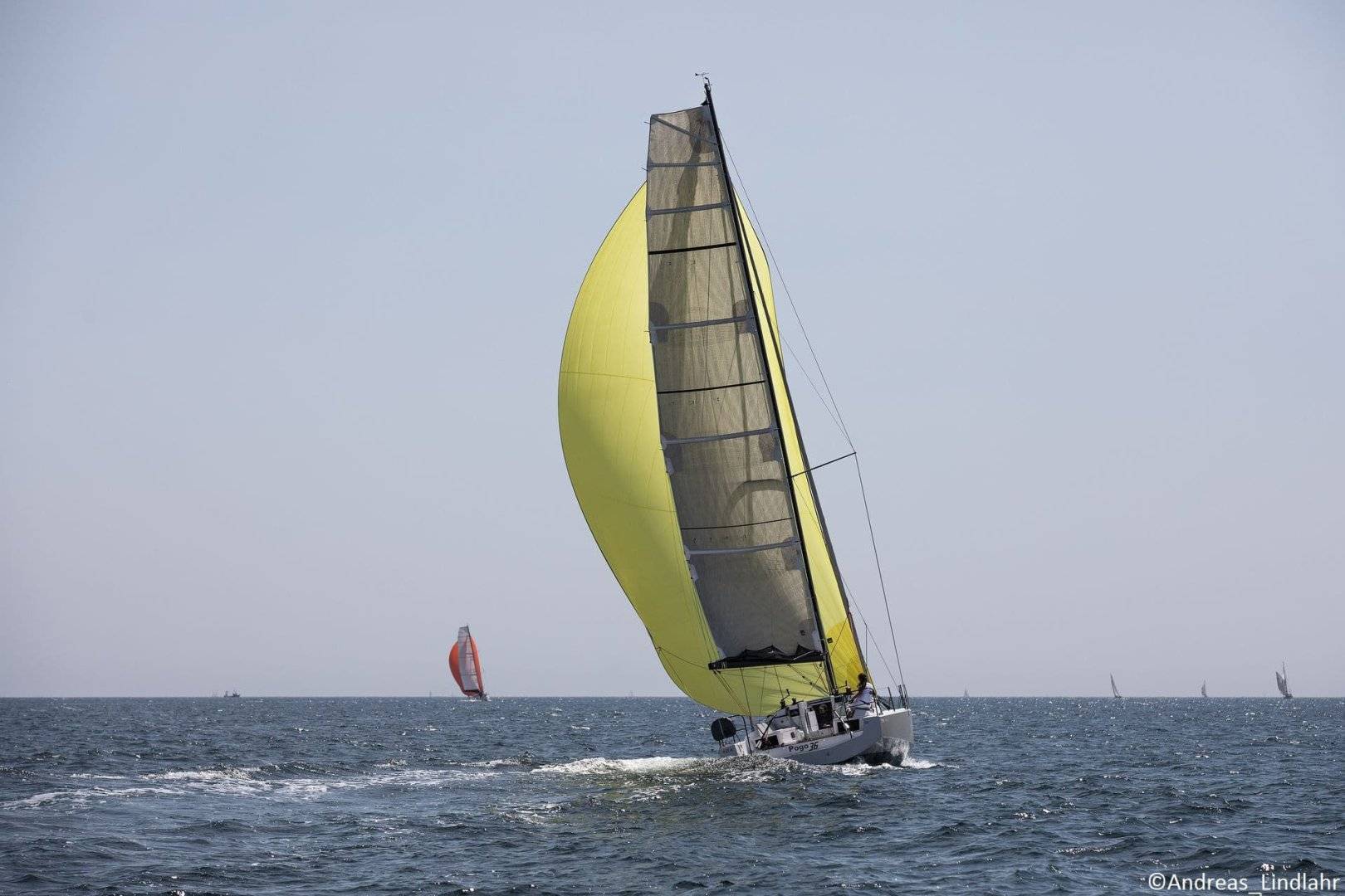 Pogo 36 - 4