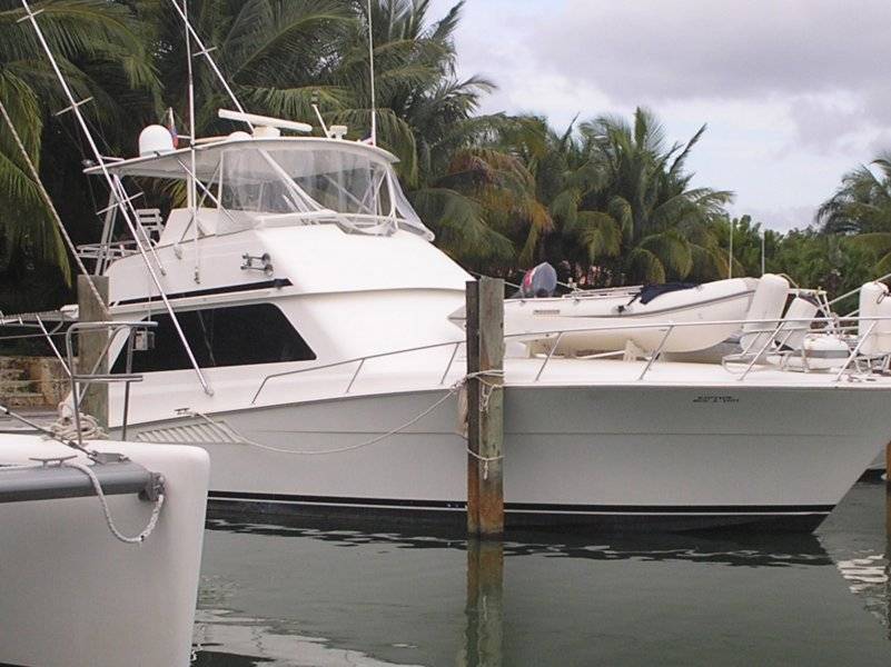Viking 50
