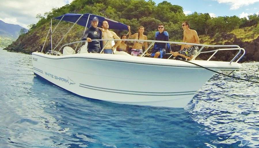 White Shark 226