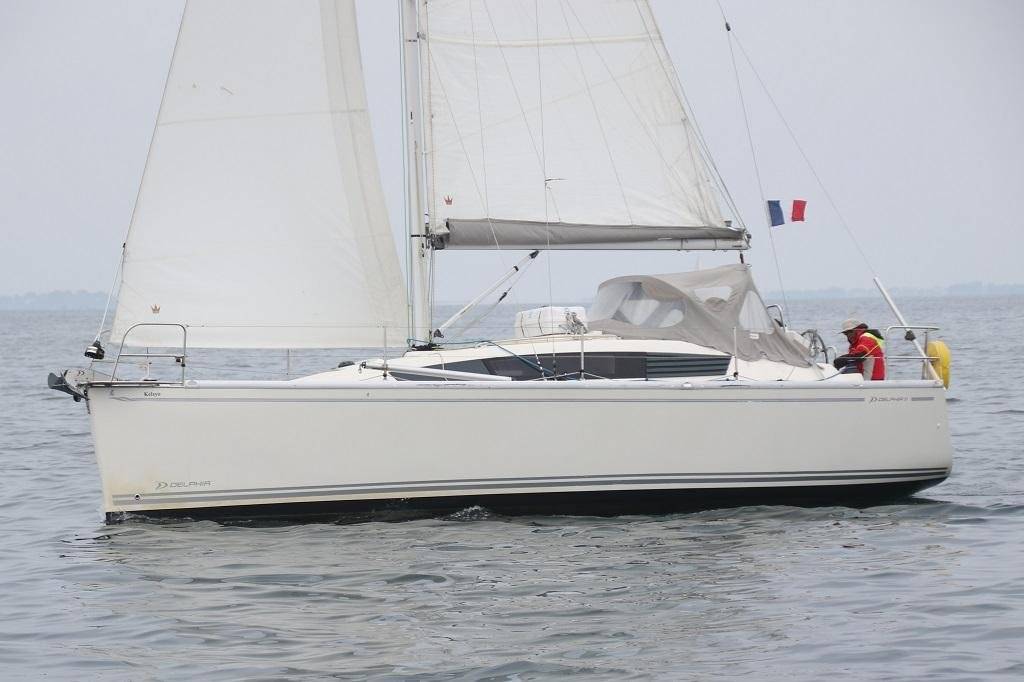 Delphia 31