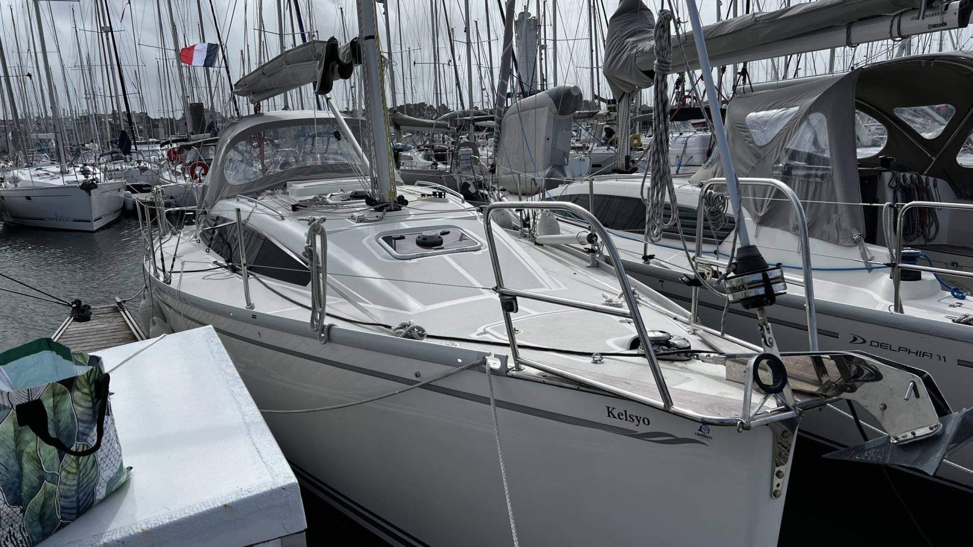 Delphia 31