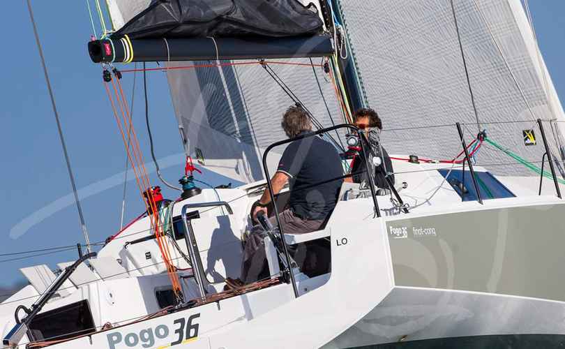 Pogo 36 - 4