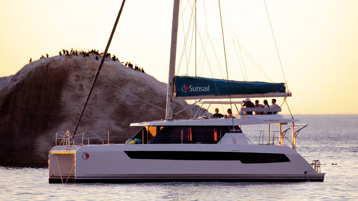 Leopard 42 (Premium Plus) - 2