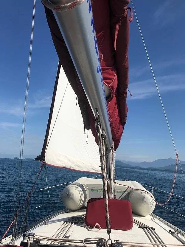 BB 36