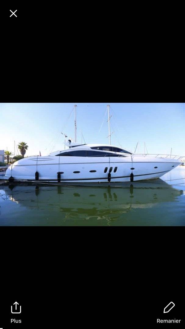 Predator 82