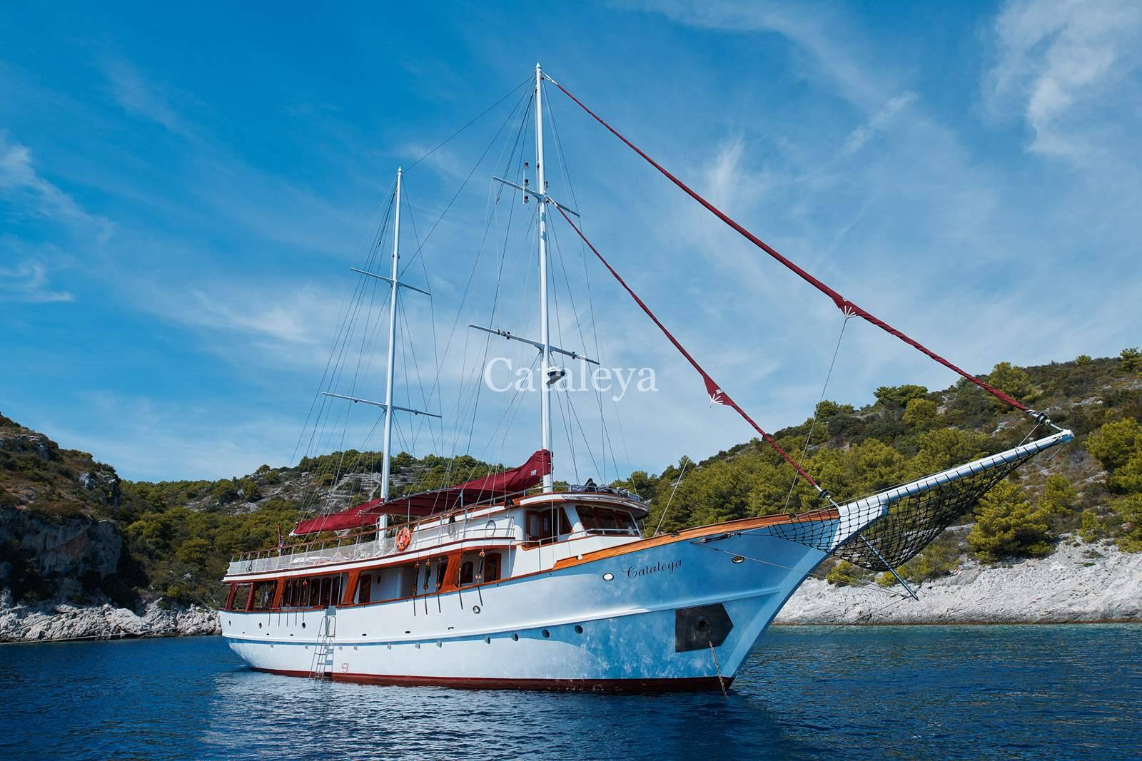 Cataleya (Ex Vjeko) - 2