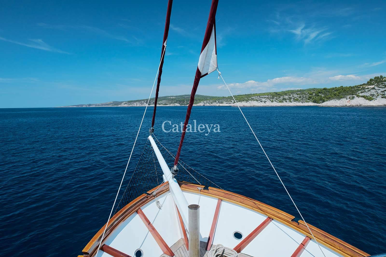 Cataleya (Ex Vjeko) - 3