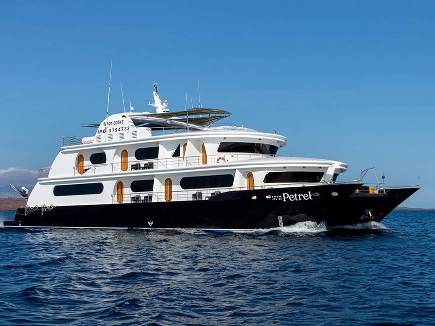 Petrel Custom - 2