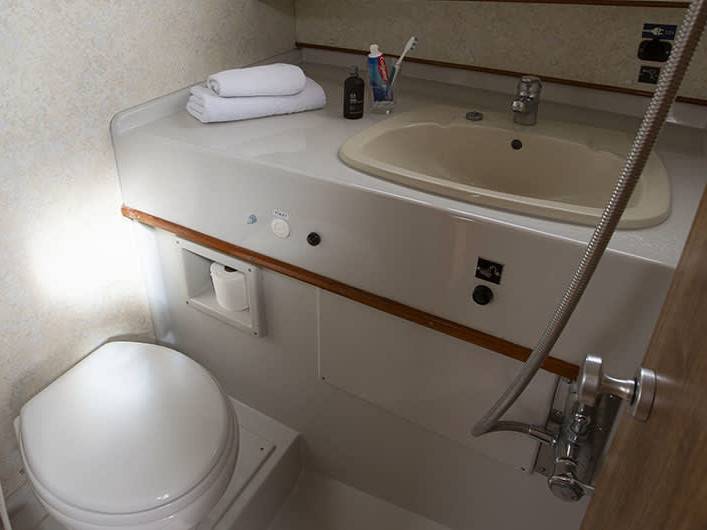 Crusader - 5