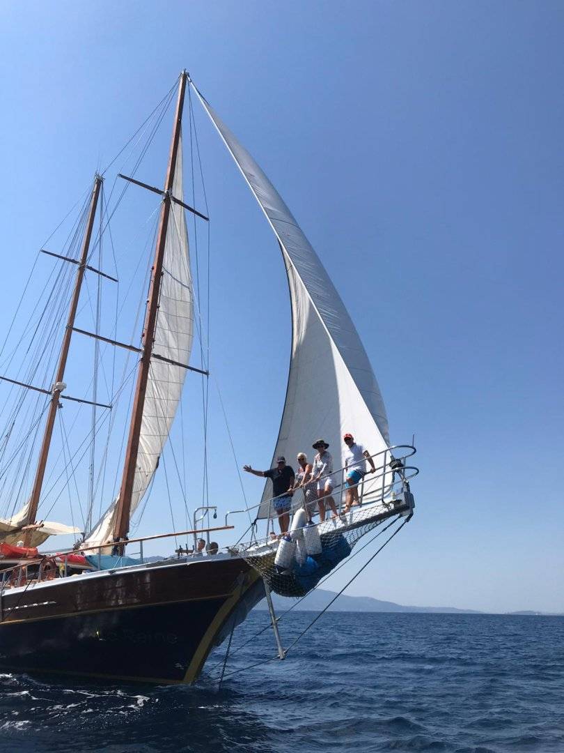 La Reine - 4