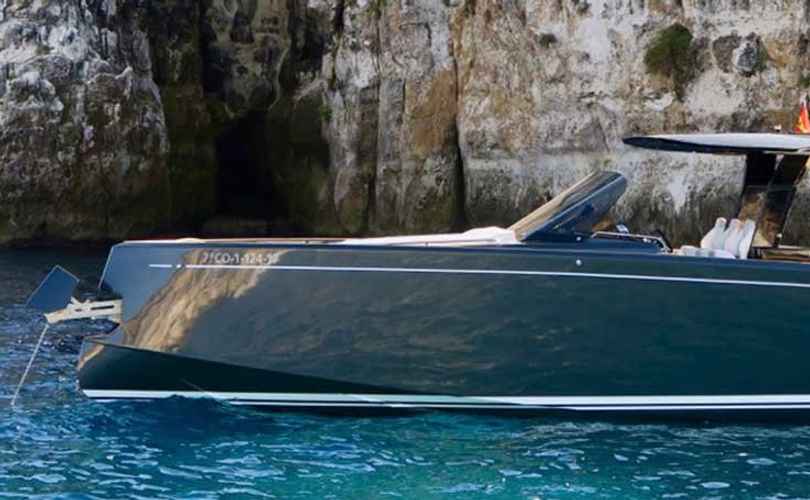 Pardo 43