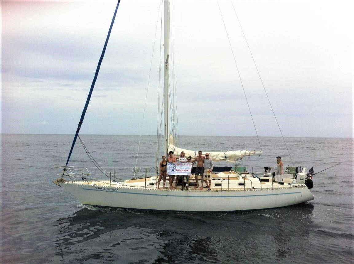 Nordic 44