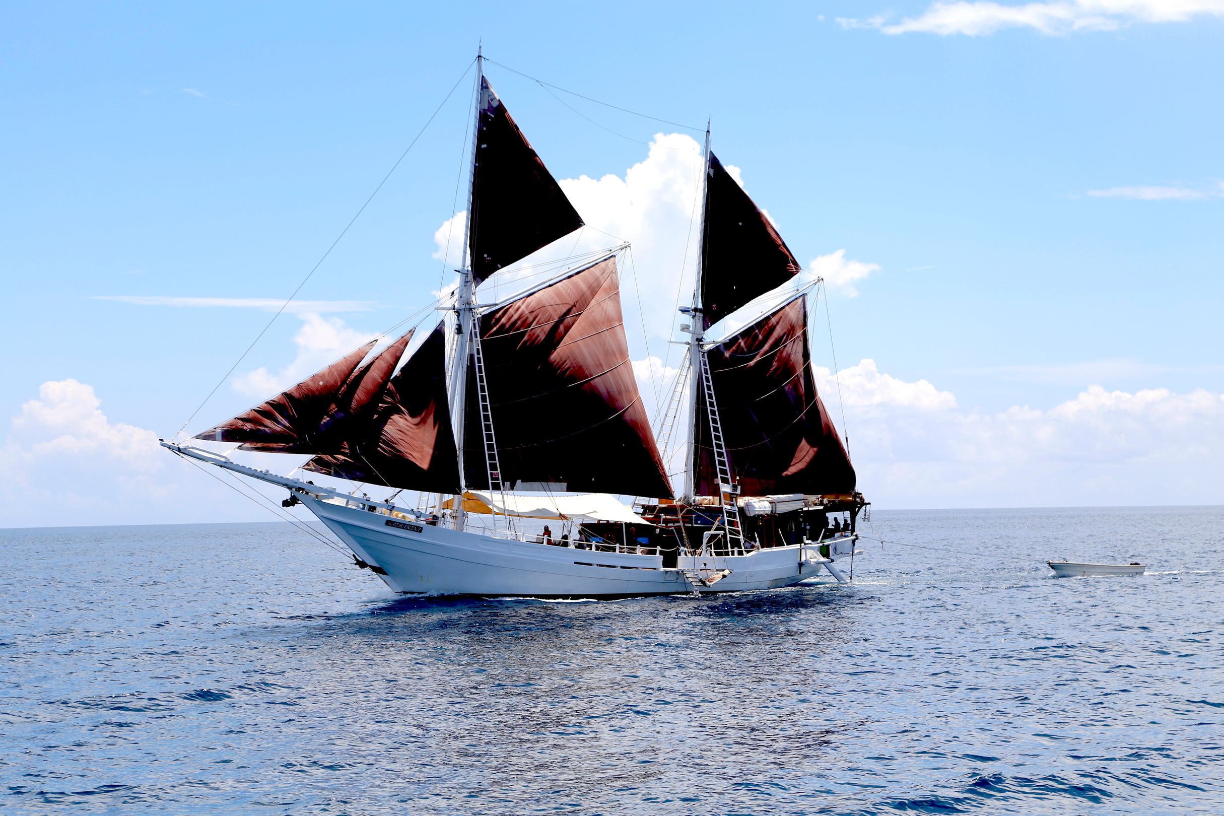 The Katharina
