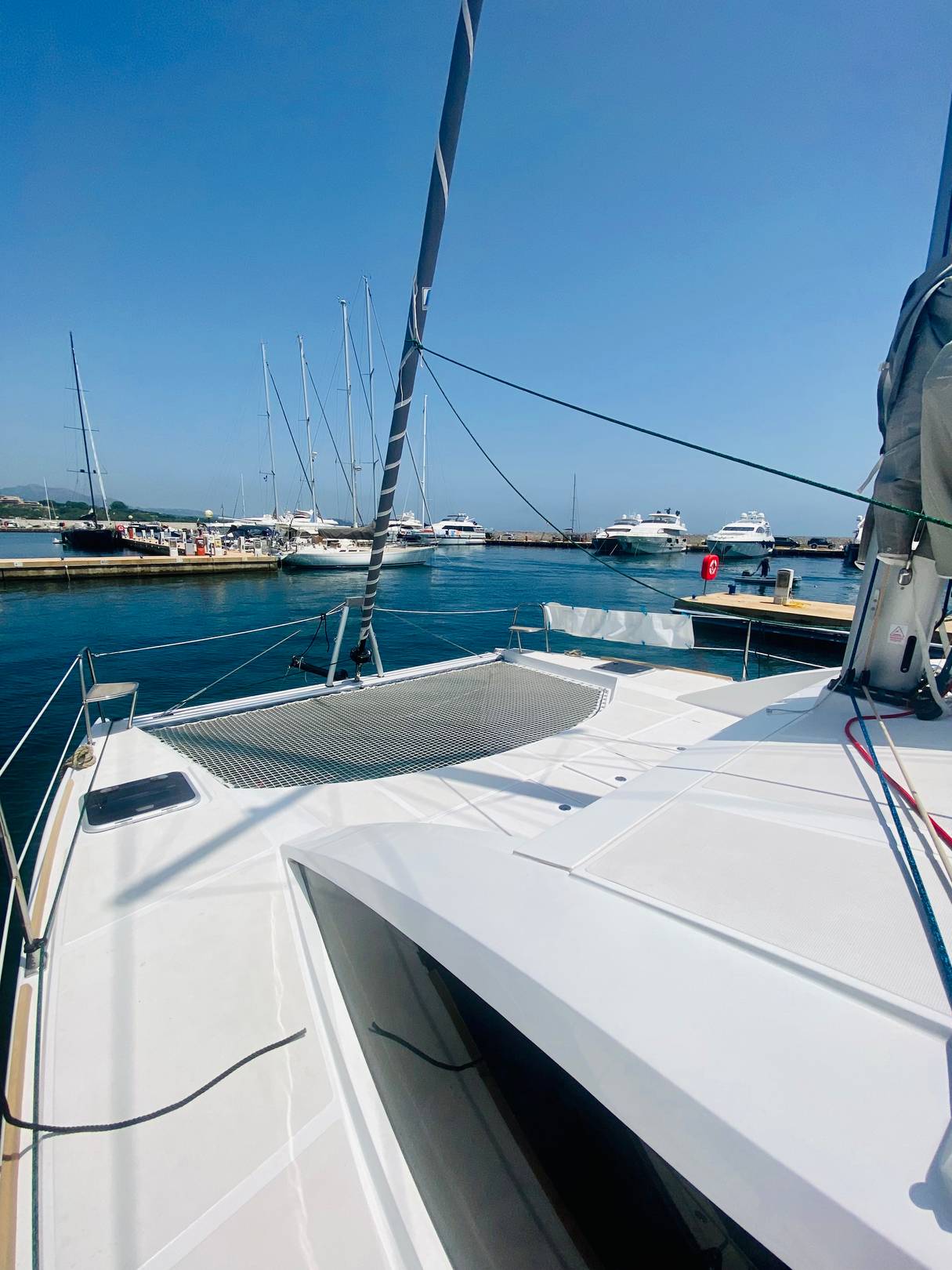 C-Cat 37 - 3