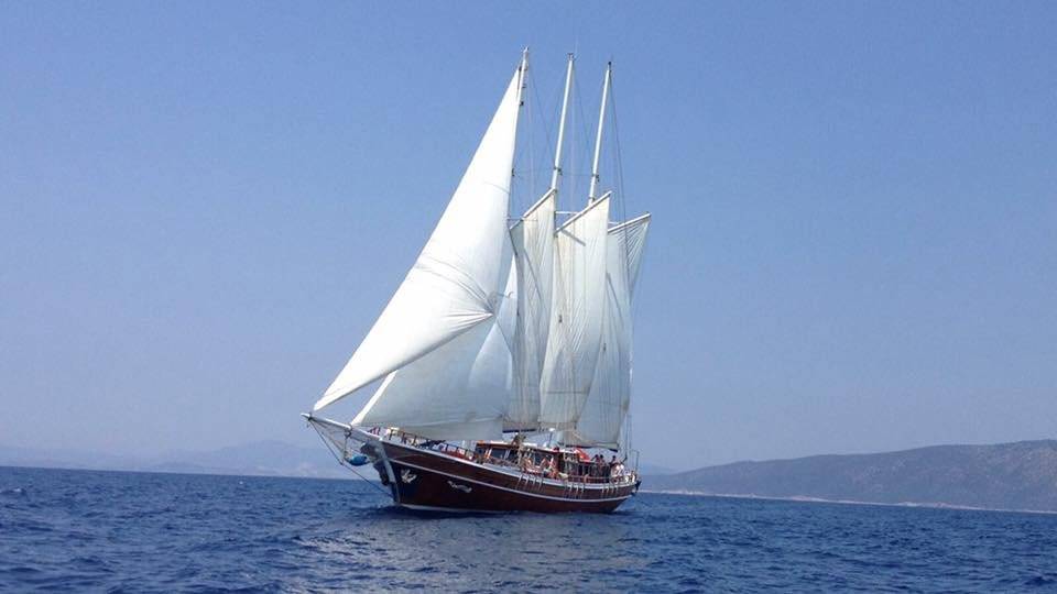 Pearl 111 - 2