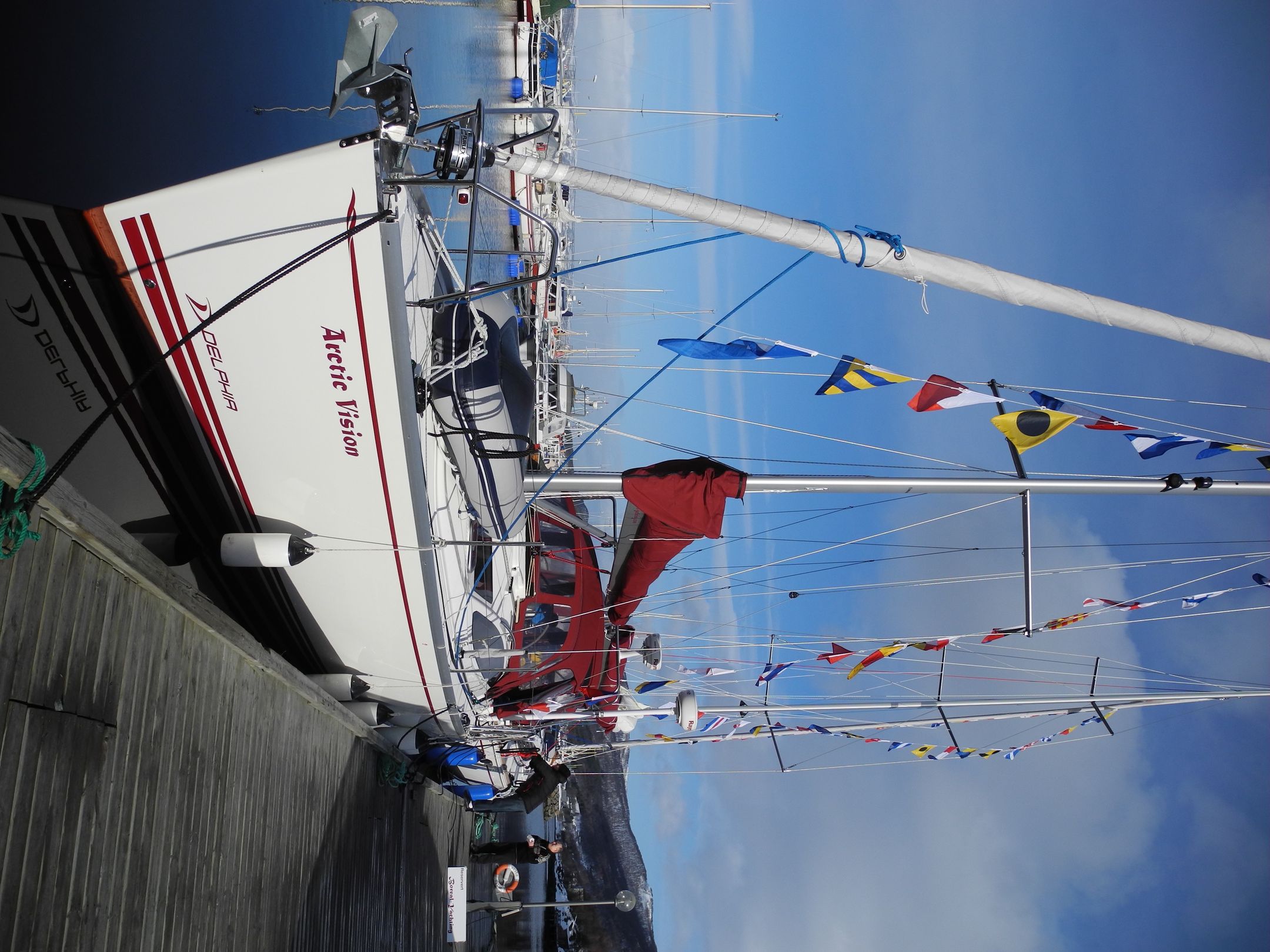 Delphia 37