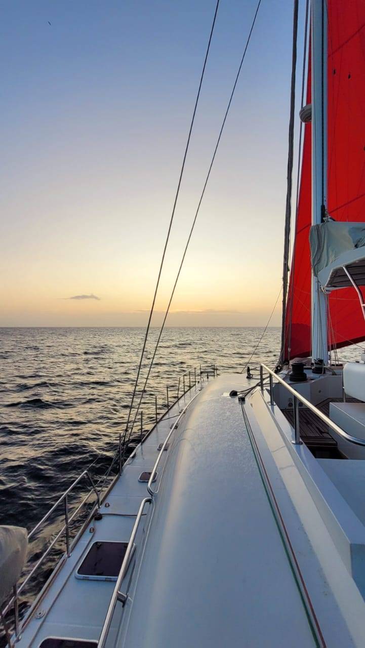 Sunreef 62 - 4