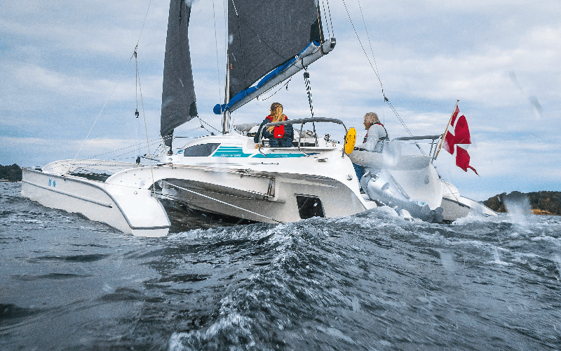 Dragonfly 28
