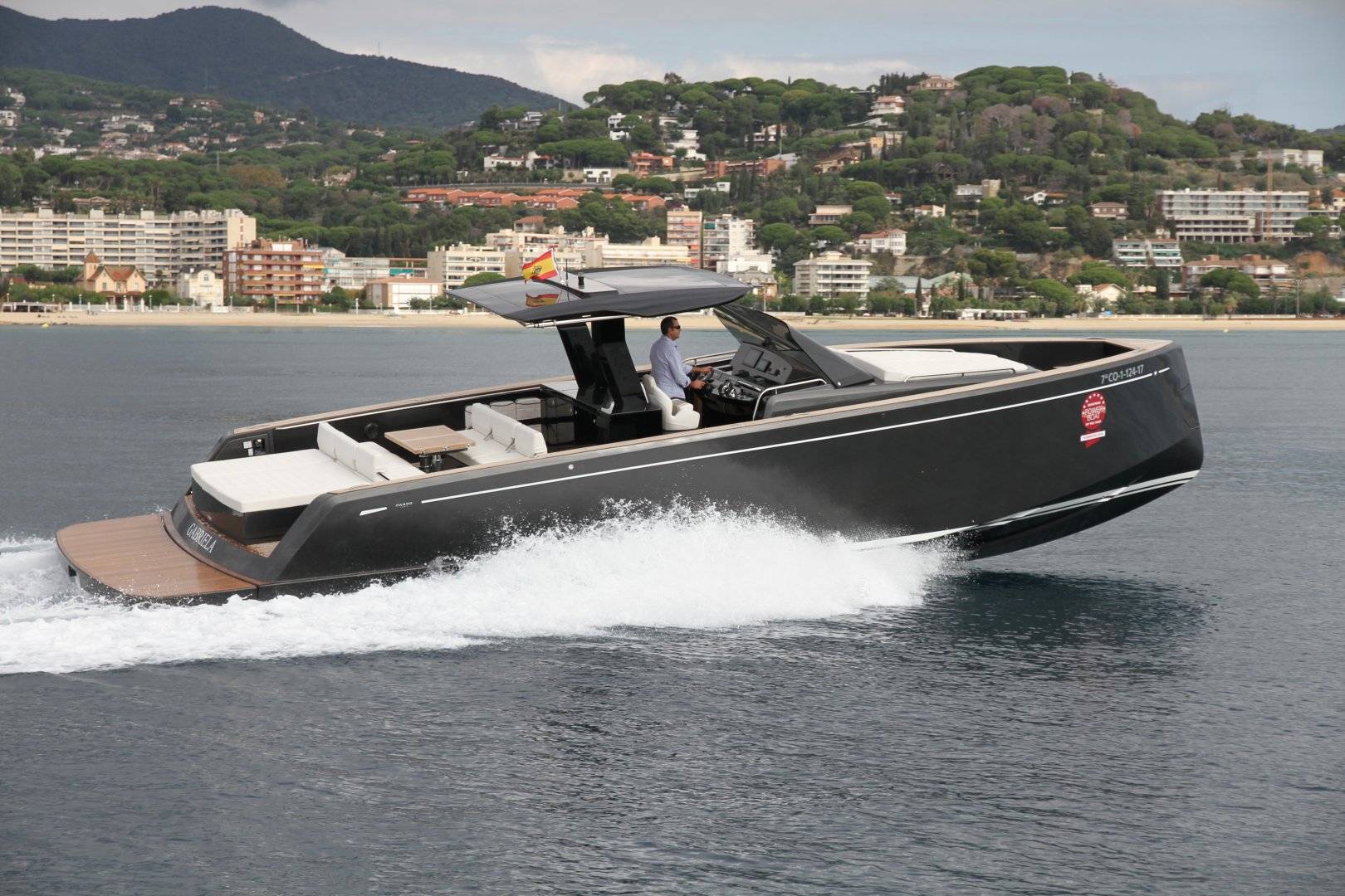 Pardo 43