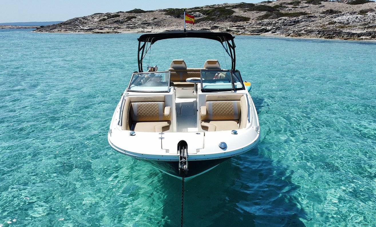 Sea Ray 290 - 4