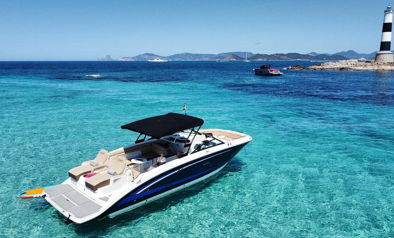 Sea Ray 290