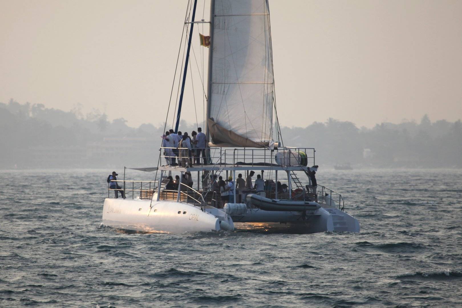 Ceycat 53