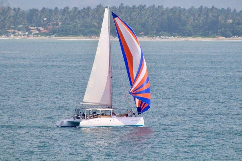Ceycat 53 - 3