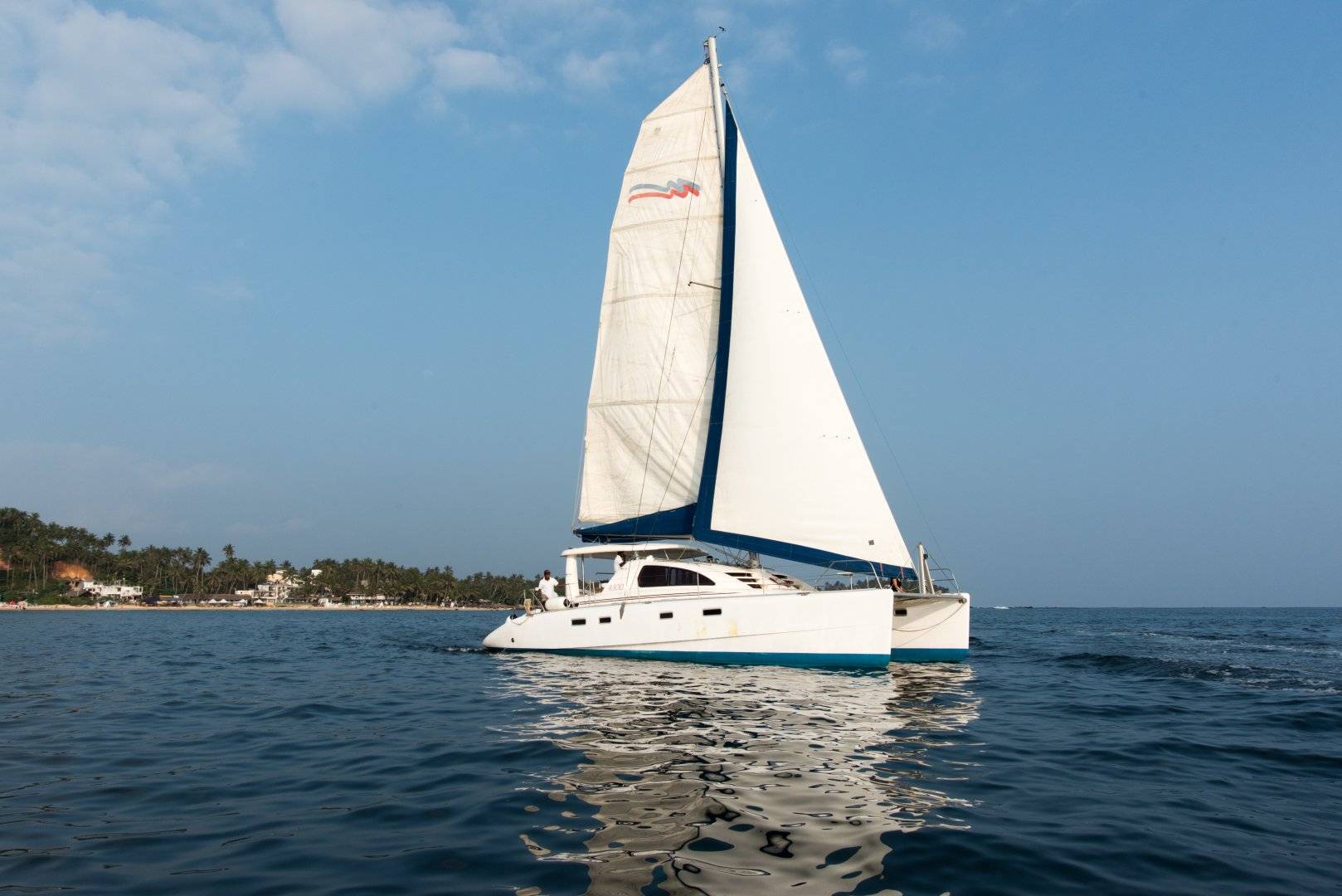 Leopard 43