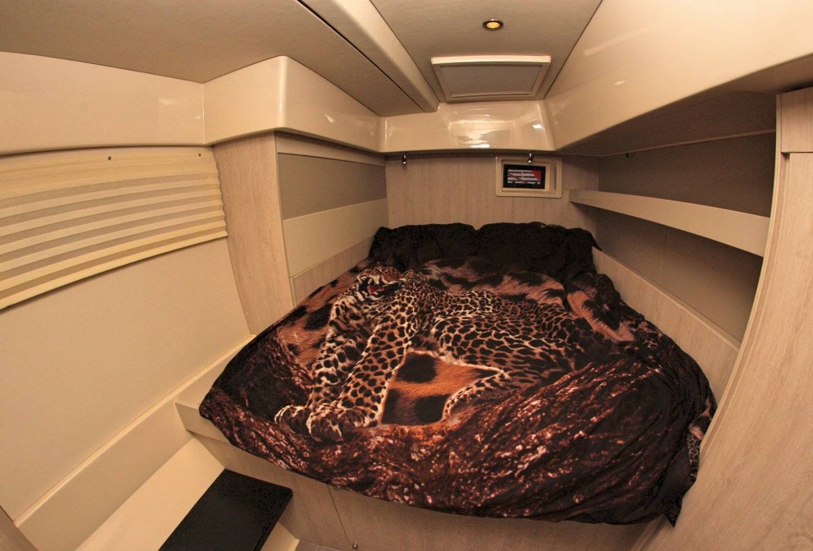 Leopard 51 PC - 5